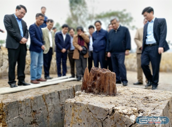 Mới chỉ khai quật được gần 1.000 m2 nhưng chính quyền thành phố Hải Phòng đã phát hiện được tài nguyên văn hóa vô cùng lớn (Ảnh: Lã Tiến)