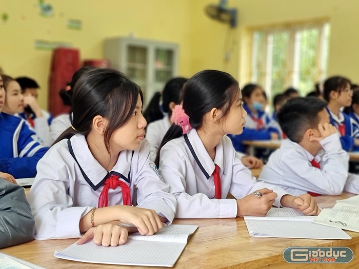 Các trường ở quận Dương Kinh lựa chọn sách bảo đảm các tiêu chí đề ra (Ảnh: Phương Linh)