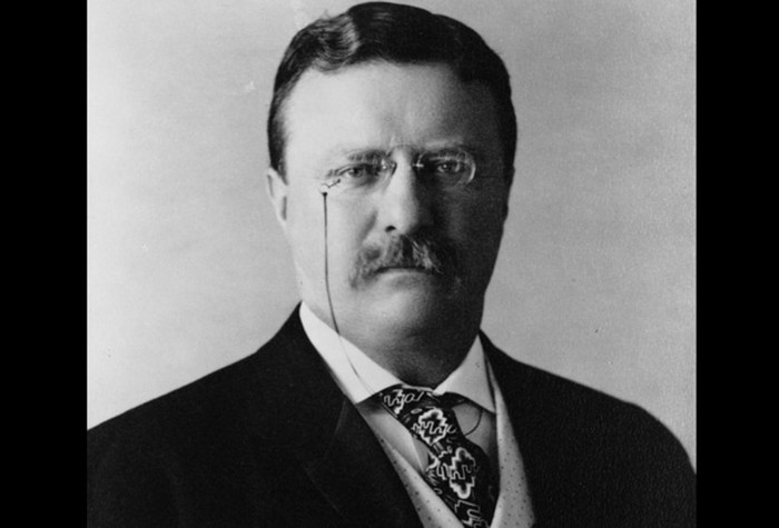 Roosevelt trở thành Tổng thống ở tuổi 42, là vị Tổng thống trẻ tuổi nhất trong lịch sử Mỹ. Ông là người đã thực hiện đàm phán, dẫn đến kết thúc của cuộc chiến tranh Nga - Nhật (1904 - 1905) và thành công này khiến cho ông nhận giải Nobel Hòa bình. Ông là người Mỹ đầu tiên nhận được giải thưởng này.