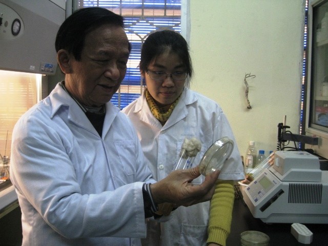 GS - NGND Nguyễn Lân Dũng cho rằng dùng roi vọt với học sinh là phản khoa học, không có tác dụng.