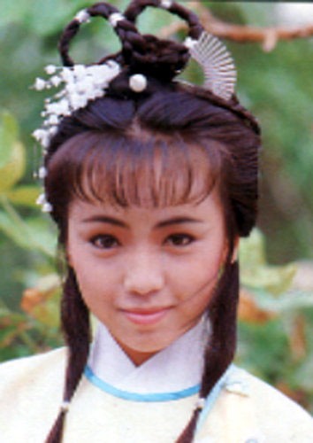 Nếu nói về vẻ đẹp của Đặng tuỵ Văn thì cô không đủ điểm cho vai Chu Chỉ Nhược, tuy nhiên, diễn xuất của cô đã mang đến dấu ấn cho nàng chưởng môn nhân (năm 1986).