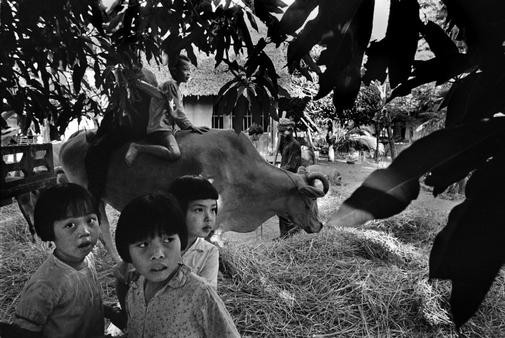 Tại một làng quê miền nam Việt Nam. Rơm rạ được phơi một cách truyền thống là để trâu bò và người dẫm qua dẫm lại trên đường làng. Vừa tiết kiệm vừa như một trò giải trí cho trẻ nhỏ ở những vùng thôn quê như ở đây – 1970.