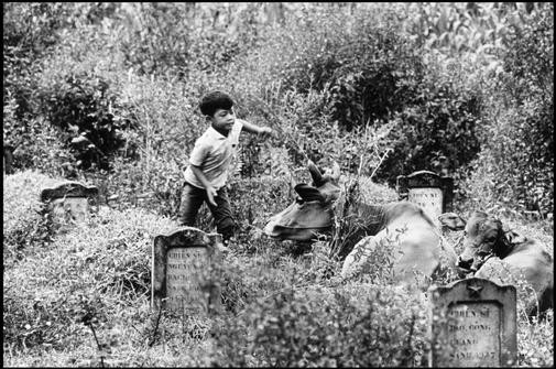 Nghĩa trang liệt sĩ của lính Việt cộng đã hy sinh trong chiến đấu với máy bay địch và trên bia mộ của người này có khắc hình sao vàng năm cánh. Dân làng nuôi bò quanh khuc vực này với niềm tin rằng linh hồn của những chiến sĩ này sẽ mãi bất tử với cỏ cây.