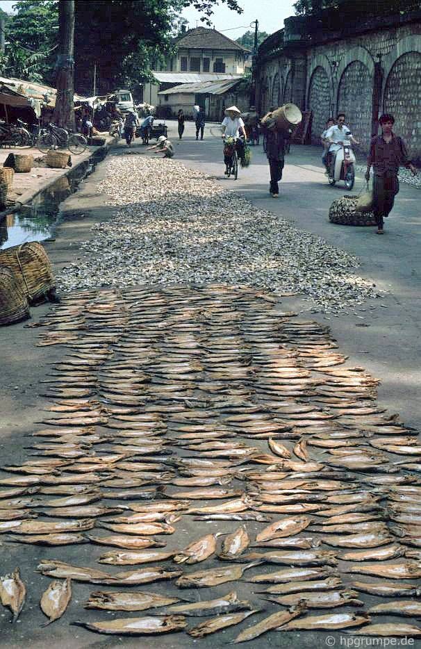 Phơi cá khô ở phố Đường Thành, 1991.
