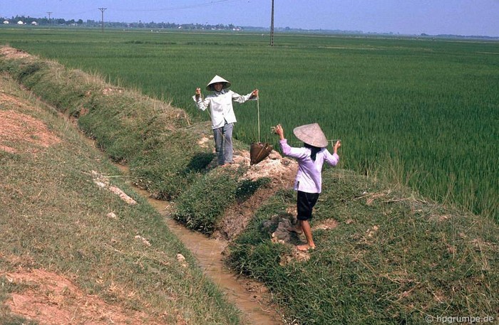 Hai người phụ nữ tát nước từ mương vào ruộng lúa tại Đông Hồ, 1991.