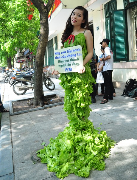 Đàm Thị Loan, cô sinh viên năm 4 Học viện Tài Chính Hà Nội với chiếc váy rau diếp bên cạnh Hồ Gươm. Ảnh. Dân Trí.