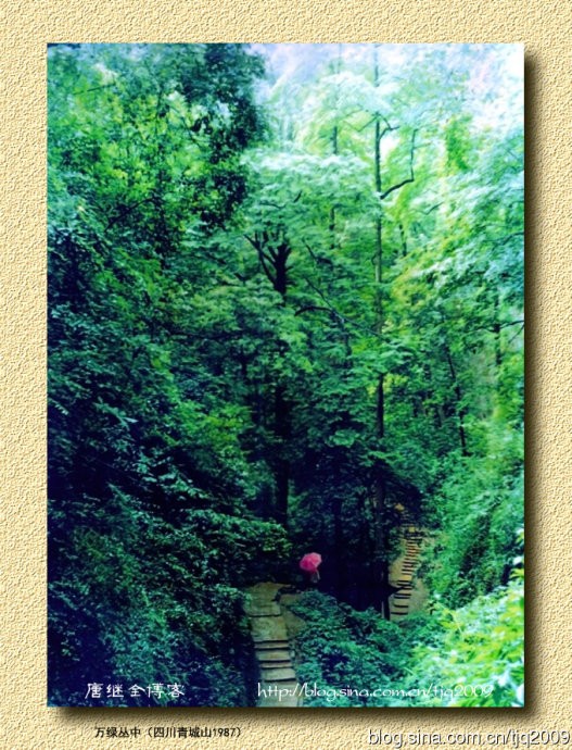 Núi Thanh Thành, Tứ Xuyên 1987. > Phút sửng sốt của 'bà phù thủy' tạo ra Ngộ Không, Bát Giới, Đường Tăng