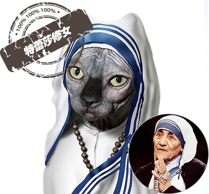 Mẹ Teresa, chủ nhân của giải Nobel hòa bình 2009.