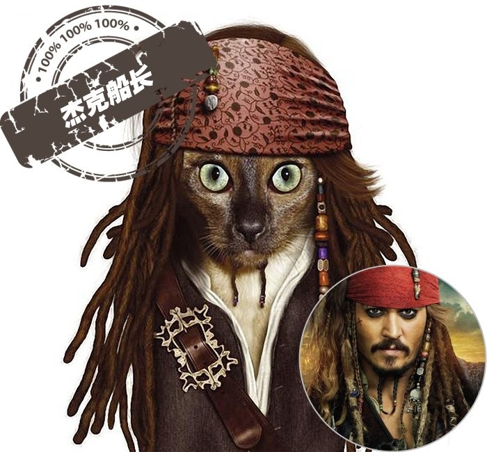 Ai cũng có thể nhận ra thuyền trưởng Jack Sparrow trong “Cướp biển Carribean” của nam tài tử Johnny Depp trên khuôn mặt của chú mèo này.