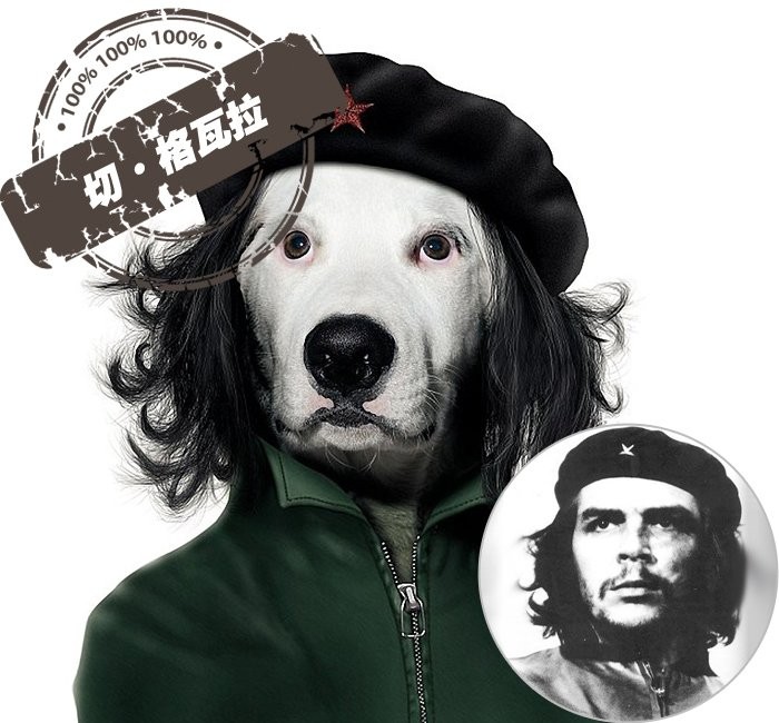 Nhà lãnh đạo vĩ đại người Aghentina, thần tượng của biết bao lớp trẻ trên khắp hành tinh, Che Guevara.
