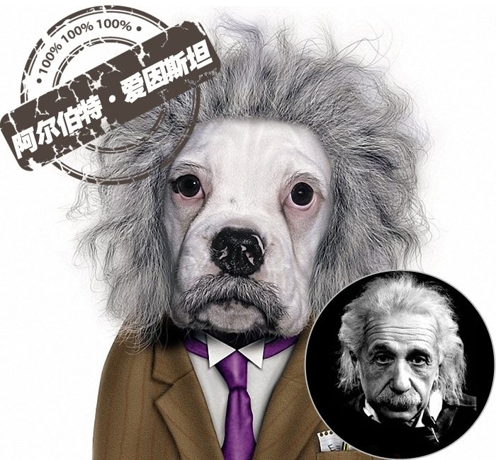Nhà vật lý lý thuyết người Mỹ gốc Đức – Do Thái lừng danh Albert Einstein (1879 – 1955). Ông được tạp chí Times phong là "Con người của thế kỷ". Ông là nhà khoa học vĩ đại nhất của thế kỷ XX và một trí thức lỗi lạc nhất trong lịch sử.