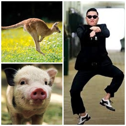 Ca khúc mới của Psy sẽ có sự xuất hiện của chuột túi và lợn.