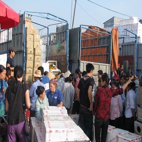 Đang rộ mùa quýt và giá rẻ nên mỗi khi có xe tải hoa quả "đánh" hàng về chợ Long Biên, các thương lái lại tranh nhau lấy hàng.