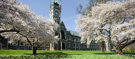 Tất cả các trường đại học ở New Zealand đều có chương trình dự bị đại học, đại học, thạc sĩ và tiến sĩ.