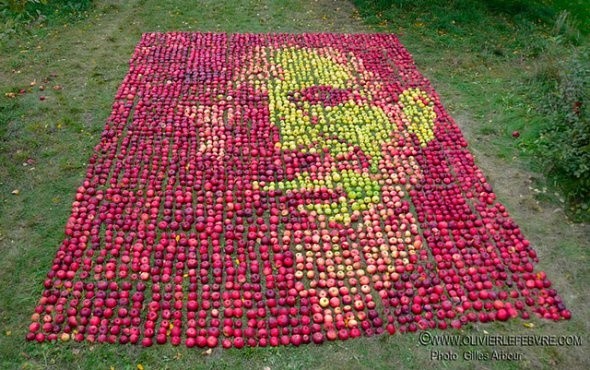 Năm 1976, Steve Jobs thành lập Apple Company, thời điểm mà ông trở về từ công việc tại một trại táo do người bạn từ thời đại học Robert Friedland. Đây là cảm hứng để ông đặt tên công ty là Apple (trái táo) và cũng là cảm hứng nghệ sĩ Olivier Lefebvre đã tạc nên bức chân dung Steve từ gần 4000 trái táo với đủ kích thước, màu sắc khác nhau.