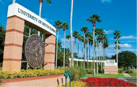 Hình ảnh đại học South Florida