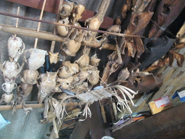 Hàng trăm bộ xương của những con thú ông săn được xâu thành từng chuỗi giăng kín cả trần nhà (Ảnh: Thanh Ba)