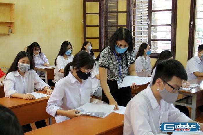 Theo chuyên gia nghiên cứu Nguyễn Quốc Vương, thi học sinh giỏi không tạo động lực học tập từ bên trong cho các em học sinh (Ảnh minh họa: Lã Tiến)