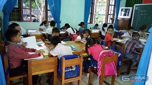 Mô hình dạy học VNEN vẫn đang gây tranh cãi tại nhiều địa phương hiện nay (Ảnh: giaoduc.net.vn).