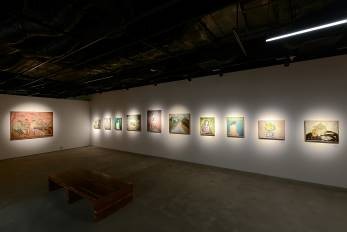 Các bức họa được trưng bày tại triển lãm.