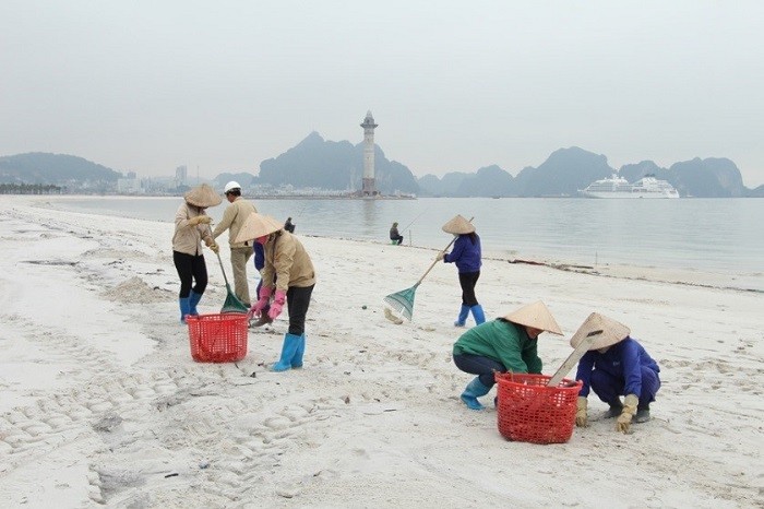 Công nhân SunGroup dọn sạch bãi tắm cộng đồng Ha Long.