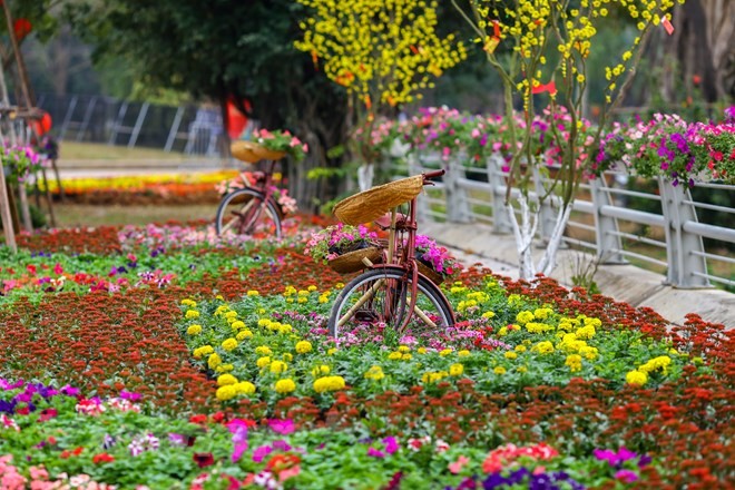 Đường hoa rực rỡ cùng nhiều hoạt động truyền thống Tết ba miền là điểm nhấn độc đáo hấp dẫn du khách trong lễ hội Xuân ba miền được tổ chức tại khu đô thị Ecopark. (Ảnh: Minh Sơn/Vietnam+)