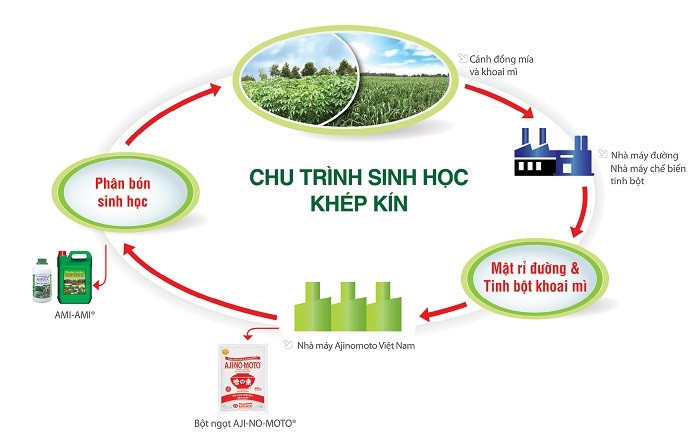 Chu trình sinh học khép kín được Công ty Ajinomoto Việt Nam áp dụng trong quá trình sản xuất nhằm hướng đến việc giữ gìn và phát triển nguồn thực phẩm, tạo sự cân bằng trong tự nhiên.