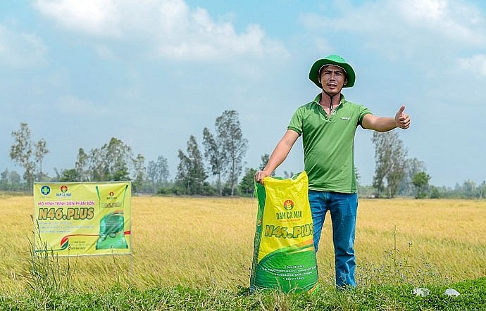 Anh Nguyễn Trung Sĩ bên ruộng lúa đạt năng suất cao khi bón đạm xanh Đạm Cà Mau.
