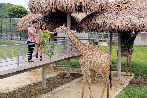Vườn thú tại Khu du lịch sinh thái Diễn Lâm.