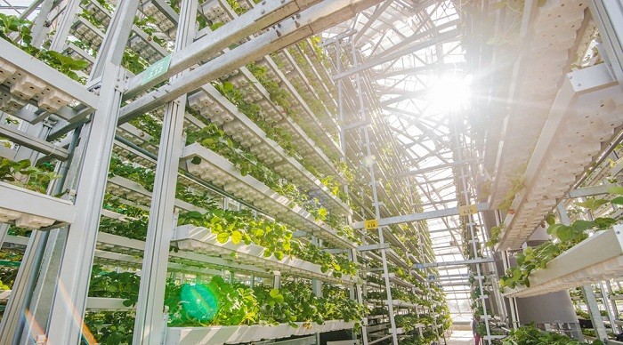 Khu vực nhà Dome với tháp trồng rau ứng dụng những công nghệ hàng đầu thế giới được đầu tư hàng trăm tỷ đồng.