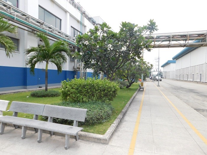 Rất nhiều cây xanh được trồng trong khuôn viên của công ty.
