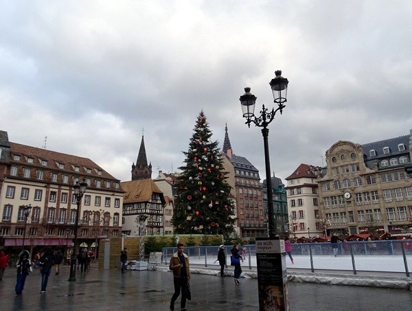 Cây thông Noel cao nhất trong số 11 chợ Noel Strasbourg (Ảnh: tác giả cung cấp).