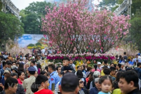 Đông đảo người dân tham dự lễ hội hoa anh đào 2018 tại Hà Nội. (Ảnh chỉ mang tính minh họa: PV/Vietnam+)