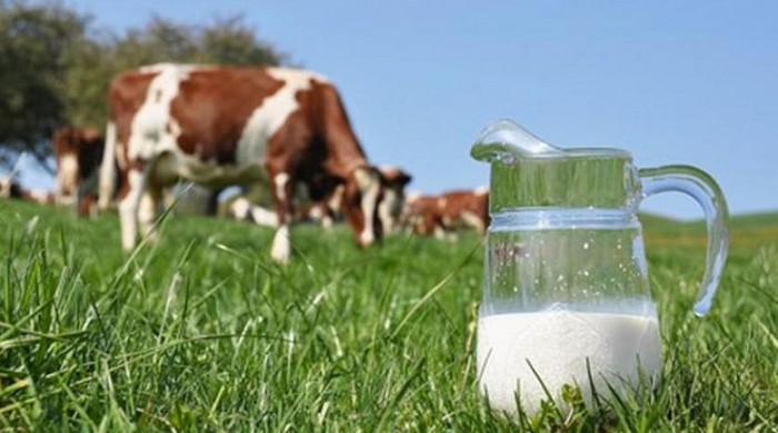 “Nuôi dưỡng từ thiên nhiên” giúp Cô Gái Hà Lan mang đến dòng sữa organic tốt lành.
