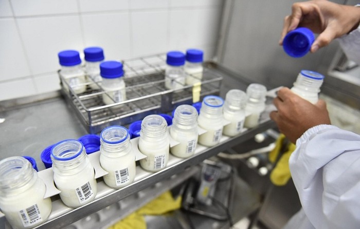 Sữa organic chuẩn Hà Lan được sản xuất tại nhà máy chuyên biệt.