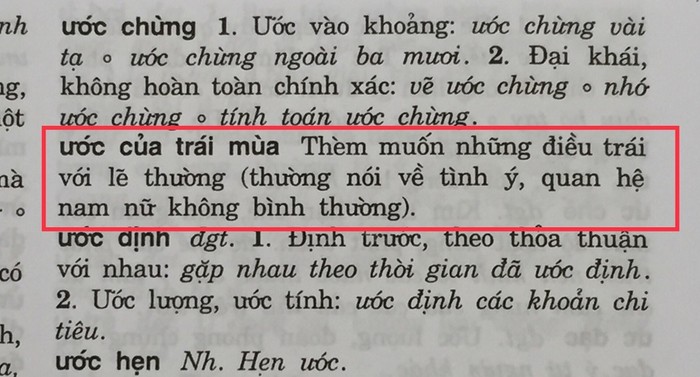 Đại từ điển Tiếng Việt, trang 1782 (Ảnh: tác giả cung cấp).