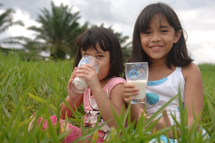 Cô Gái Hà Lan đã phát triển 45 sản phẩm đáp ứng nhu cầu dinh dưỡng của trẻ em Đông Nam Á.