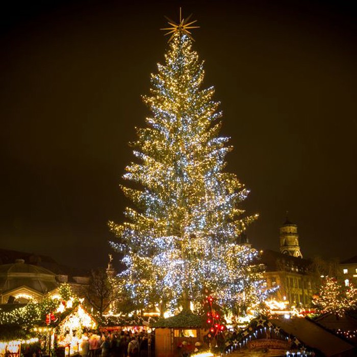 Cây thông Noel rực rỡ trước tòa thị chính, nơi đây cũng là một chợ Noel của thành phố Stuttgart.