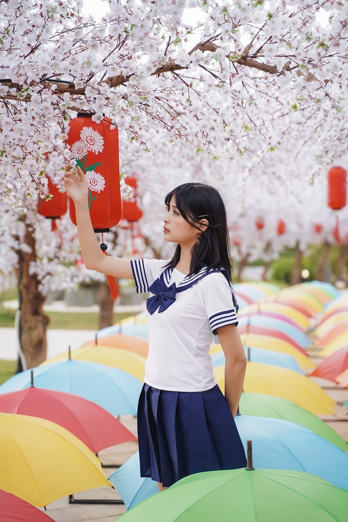 Nữ sinh Nhật Bản với con đường Ô và Hoa anhđào trắng đẹp ngây thơ và tinh khiết.