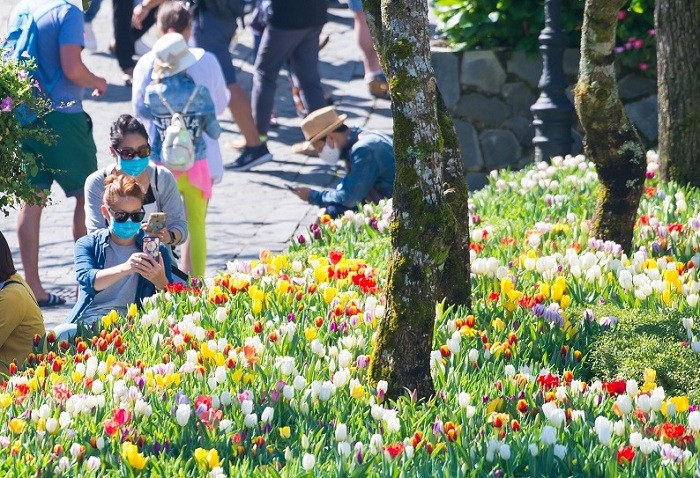 Du khách hào hứng dự lễ hội hoa tulip ở Bà Nà trong mùa dịch Covid-19.