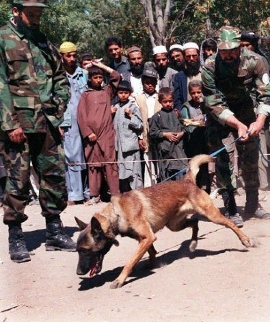 Afghanistan: Binh sĩ Afghanistan đang kiểm tra các kỹ năng của những chú của họ tại Kabul ngày 7/10/1999.