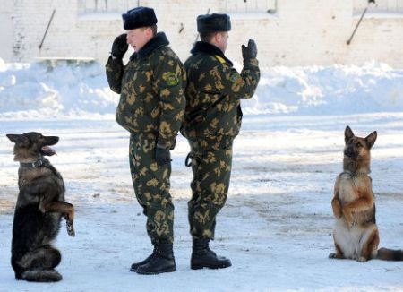 Belarus: Những chú chó biên phòng Belarus tại Trung tâm Đào tạo chó nghiệp vụ ở thị trấn Smorgon, cách thủ đô Minsk 130 km về phía tây bắc.