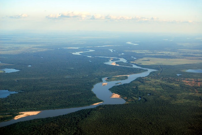 Sông Amazon: Sông Amzon trải dài hơn 4.100 dặm (6.600 km). Trong hàng trăm phụ lưu và dòng chảy của con sông là số lượng lớn nhất các loài cá nước ngọt trên thế giới.