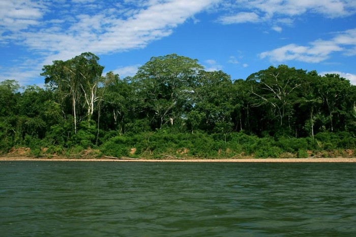 Rừng mưa nhiệt đới: Rừng mưa nhiệt đới Amazon bao phủ một vùng rộng lớn khoảng 6,7 triệu kilômét vuông, gấp khoảng hai lần diện tích Ấn Độ, trải rộng hơn 8 nước Brazil, Bolivia, Peru, Colombia, Ecuador, Guyana, Suriname, Venezuela, thêm Guiana của Pháp.