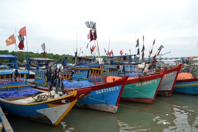 Các phương tiện đánh bắt cá của ngư dân Cần Giờ đã vào nơi trú bão an toàn