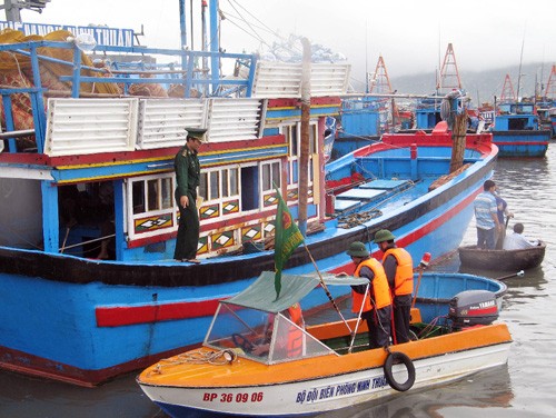 Lực lượng Bộ đội biên phòng tỉnh Nnh Thuận chỉ huy việc neo đậu tránh bão của tàu cá tại địa phương.