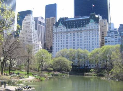 Newyork Plaza được xây dựng cách đây 105 năm. Từ khách sạn có thể ngắm công viên Trung Tâm của Newyork, khách sạn thuộc sở hữu của công ty Elad (Israel) và Arab Saudi Holdings.