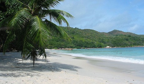 Hòn đảo thực sự là nơi có phong cảnh đẹp, với những bờ biển cát trắng, dừa xanh và nước biển sạch.