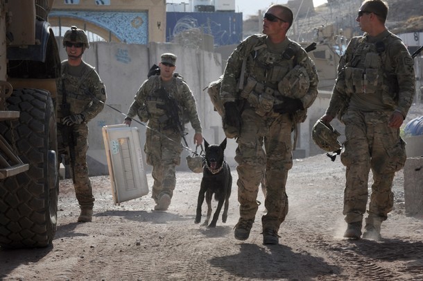Chó nghiệp vụ là người bạn chiến đấu không thể thiếu đối với những binh sỹ Mỹ.