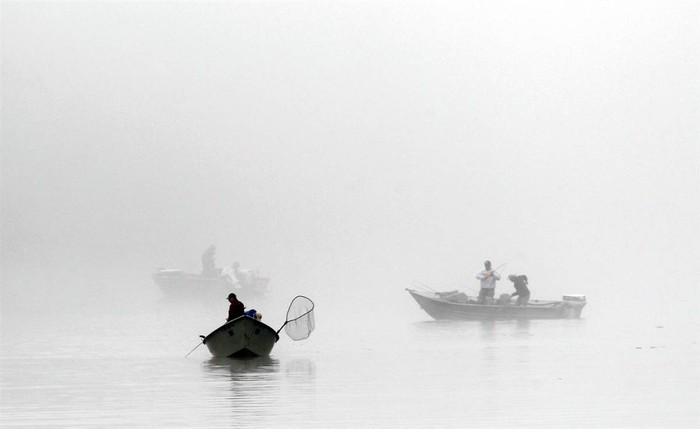 Những chiếc thuyền nhỏ chở người câu cá hồi trên sông Siuslaw ở Florence, Ore, Mỹ.